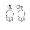 Серьги Cartier Diamants Legers Earrings B8043700(1336) №1