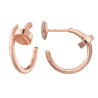 Серьги Cartier Juste un Clou CRB8301234(36591) №2