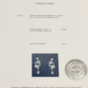 Серьги Graff ROSETTE White Gold & Diamond RGE762(54113) №2