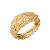 Кольцо Gilbert Albert Boucles D'Oreilles Yellow Gold(45632) №1
